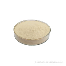 Food Emulsifying Agent Best quality gelatin powder Supplier